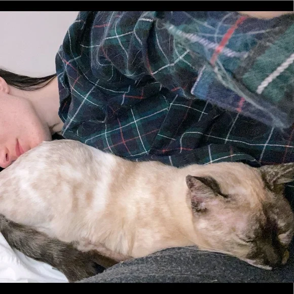 Meet - Picture 1 of 8